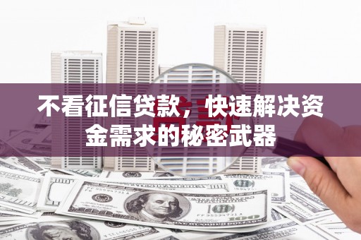 纳溪不看征信贷款，快速解决资金需求的秘密武器