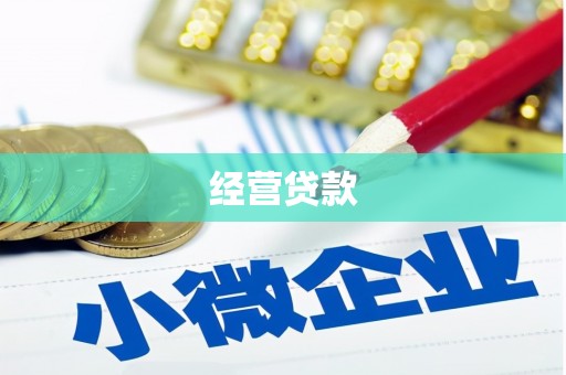纳溪经营贷款