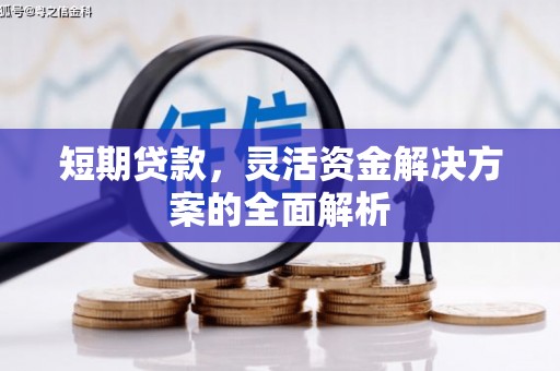纳溪短期贷款，灵活资金解决方案的全面解析