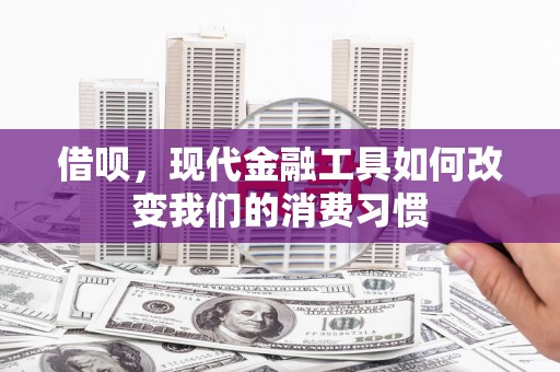 纳溪借呗，现代金融工具如何改变我们的消费习惯