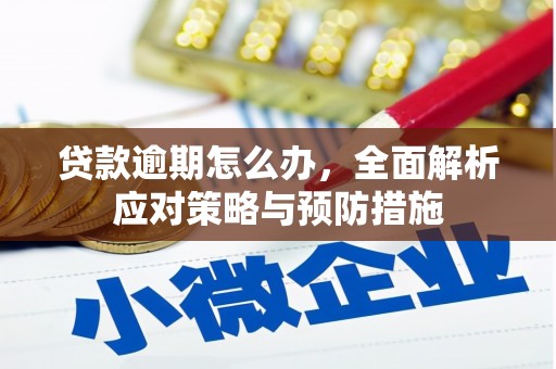 纳溪贷款逾期怎么办，全面解析应对策略与预防措施