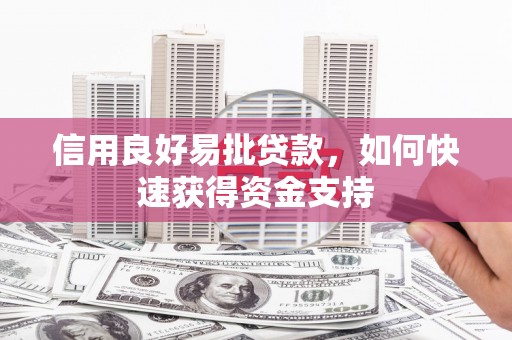 纳溪信用良好易批贷款，如何快速获得资金支持