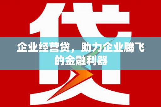 纳溪企业经营贷，助力企业腾飞的金融利器