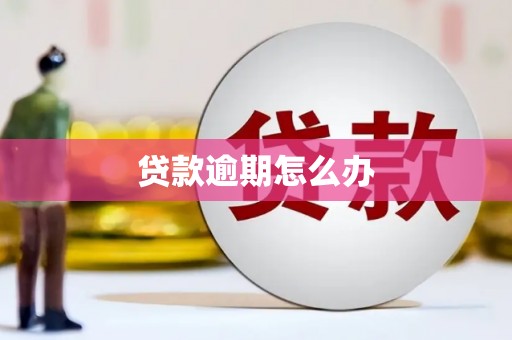 纳溪贷款逾期怎么办