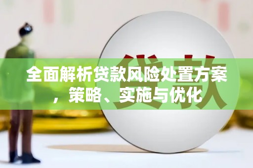 纳溪全面解析贷款风险处置方案，策略、实施与优化