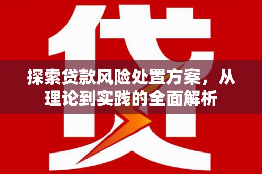 纳溪探索贷款风险处置方案，从理论到实践的全面解析