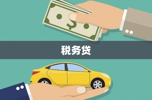 纳溪税务贷
