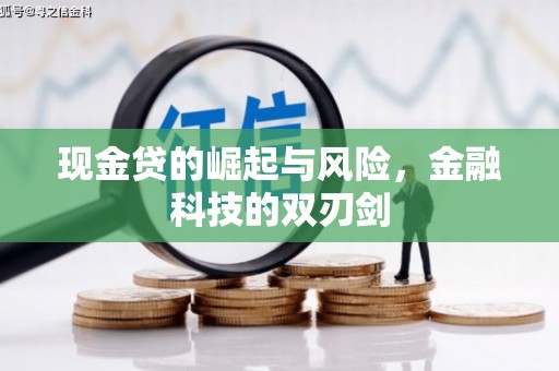 纳溪现金贷的崛起与风险，金融科技的双刃剑