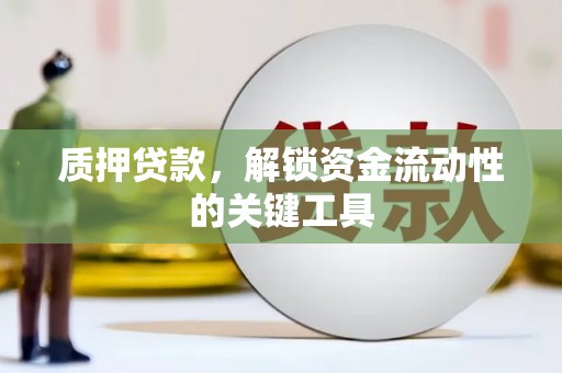 纳溪质押贷款，解锁资金流动性的关键工具