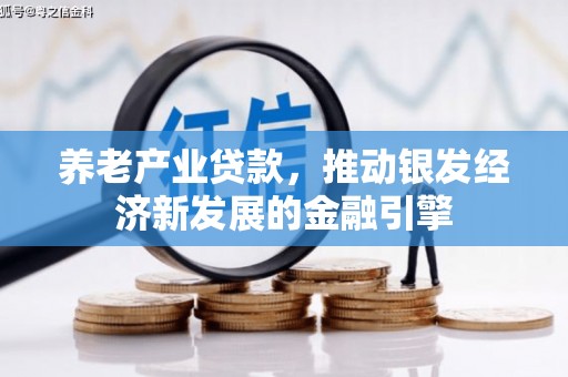 纳溪养老产业贷款，推动银发经济新发展的金融引擎
