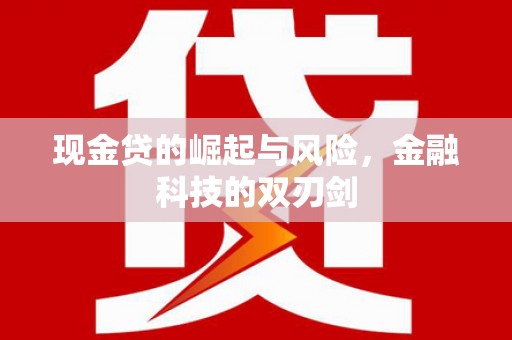 纳溪现金贷的崛起与风险，金融科技的双刃剑