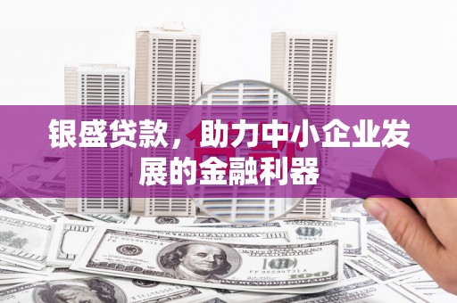 纳溪银盛贷款，助力中小企业发展的金融利器