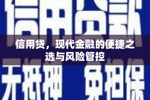 纳溪信用贷，现代金融的便捷之选与风险管控