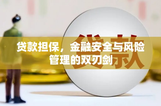 纳溪贷款担保，金融安全与风险管理的双刃剑