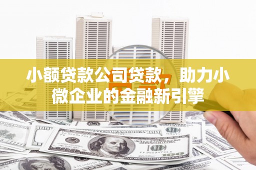 纳溪小额贷款公司贷款，助力小微企业的金融新引擎