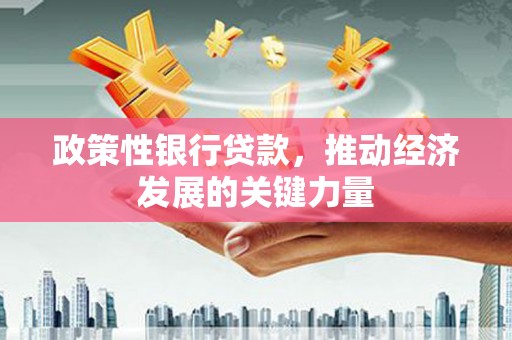 纳溪政策性银行贷款，推动经济发展的关键力量
