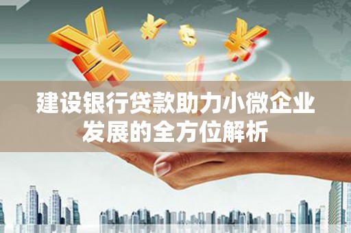 纳溪建设银行贷款助力小微企业发展的全方位解析
