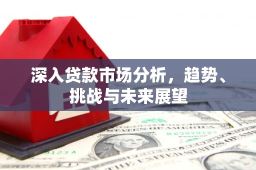 纳溪深入贷款市场分析，趋势、挑战与未来展望