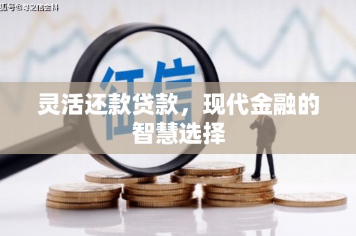 纳溪灵活还款贷款，现代金融的智慧选择