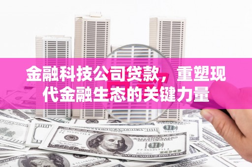 纳溪金融科技公司贷款，重塑现代金融生态的关键力量