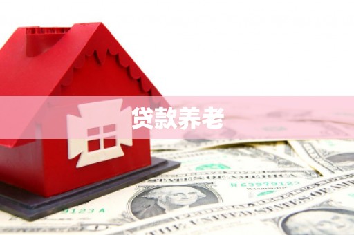纳溪贷款养老