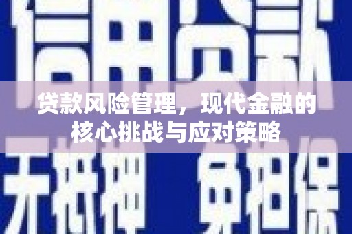 纳溪贷款风险管理，现代金融的核心挑战与应对策略