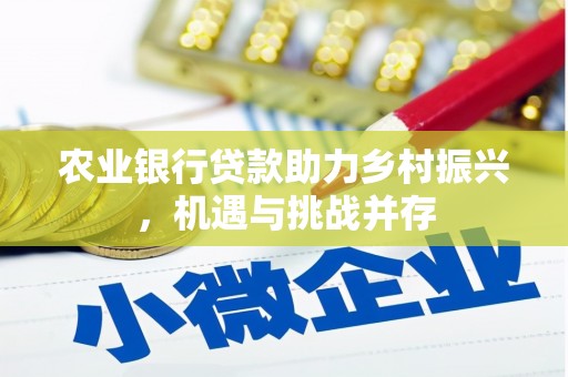 纳溪农业银行贷款助力乡村振兴，机遇与挑战并存