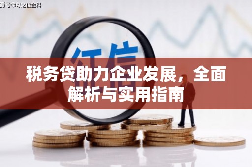纳溪税务贷助力企业发展，全面解析与实用指南