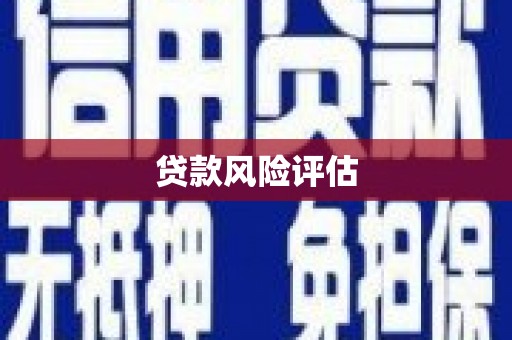 纳溪贷款风险评估