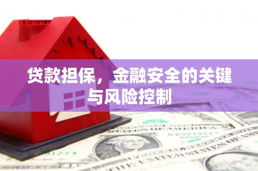 纳溪贷款担保，金融安全的关键与风险控制