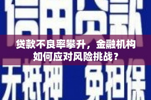 纳溪贷款不良率攀升，金融机构如何应对风险挑战？