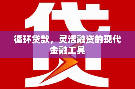 纳溪循环贷款，灵活融资的现代金融工具