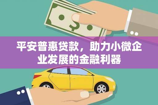 纳溪平安普惠贷款，助力小微企业发展的金融利器