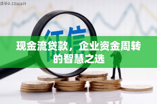 纳溪现金流贷款，企业资金周转的智慧之选