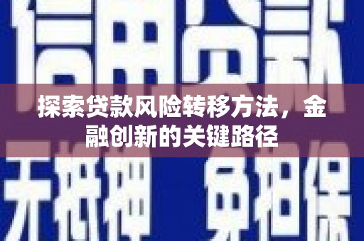 纳溪探索贷款风险转移方法，金融创新的关键路径