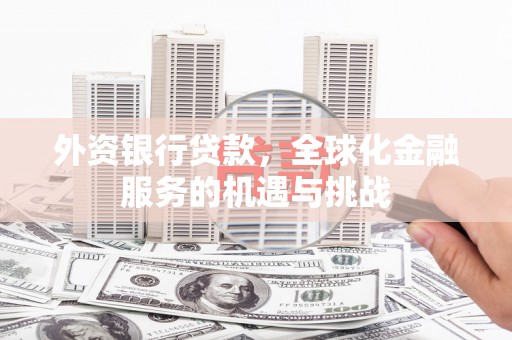 纳溪外资银行贷款，全球化金融服务的机遇与挑战