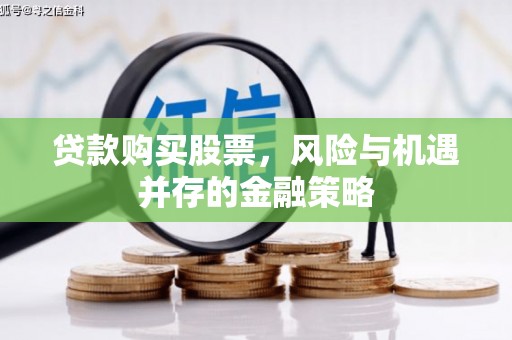 纳溪贷款购买股票，风险与机遇并存的金融策略