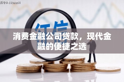 纳溪消费金融公司贷款，现代金融的便捷之选
