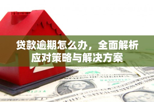 纳溪贷款逾期怎么办，全面解析应对策略与解决方案