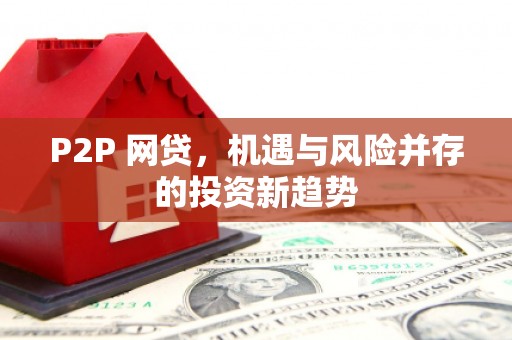 纳溪P2P 网贷，机遇与风险并存的投资新趋势