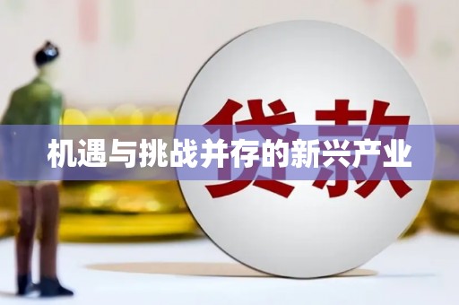 纳溪机遇与挑战并存的新兴产业