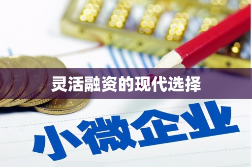 纳溪灵活融资的现代选择