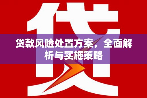 纳溪贷款风险处置方案，全面解析与实施策略