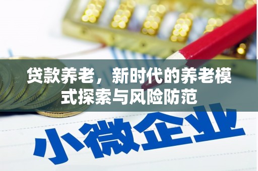 纳溪贷款养老，新时代的养老模式探索与风险防范
