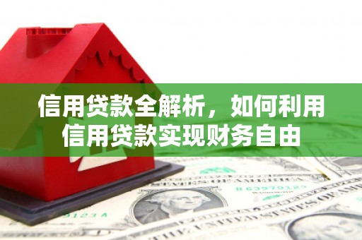 纳溪信用贷款全解析，如何利用信用贷款实现财务自由