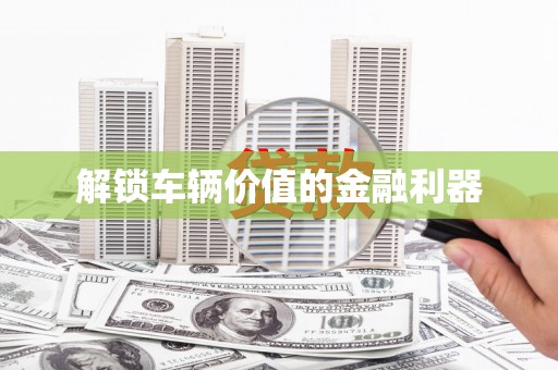 纳溪解锁车辆价值的金融利器