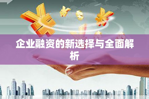 纳溪企业融资的新选择与全面解析