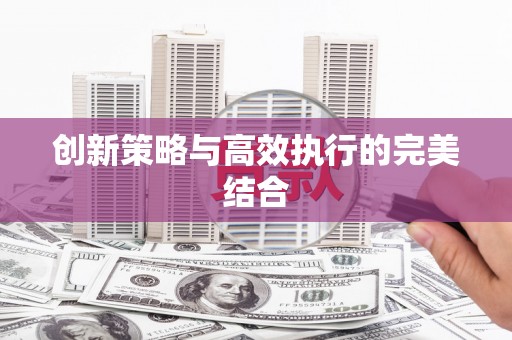纳溪创新策略与高效执行的完美结合