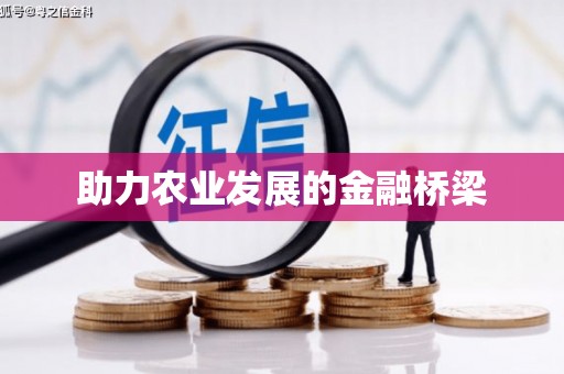 纳溪助力农业发展的金融桥梁