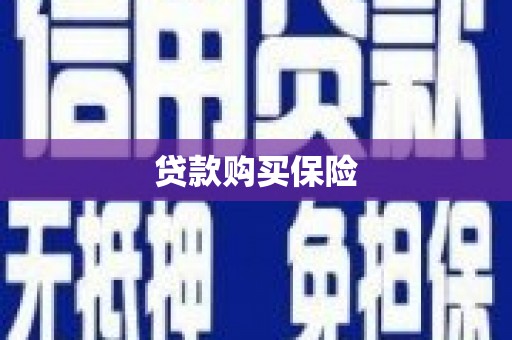 纳溪贷款购买保险